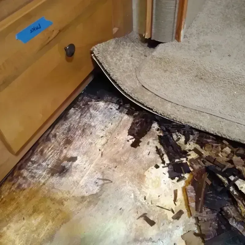 Best Wood Floor Water Damage Service in Lamartine, WI